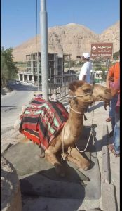 Jordan - Holy Land Tour