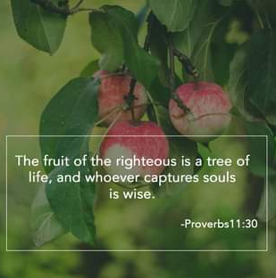 bible-quote